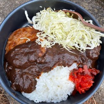 ゴーゴーカレー🍛