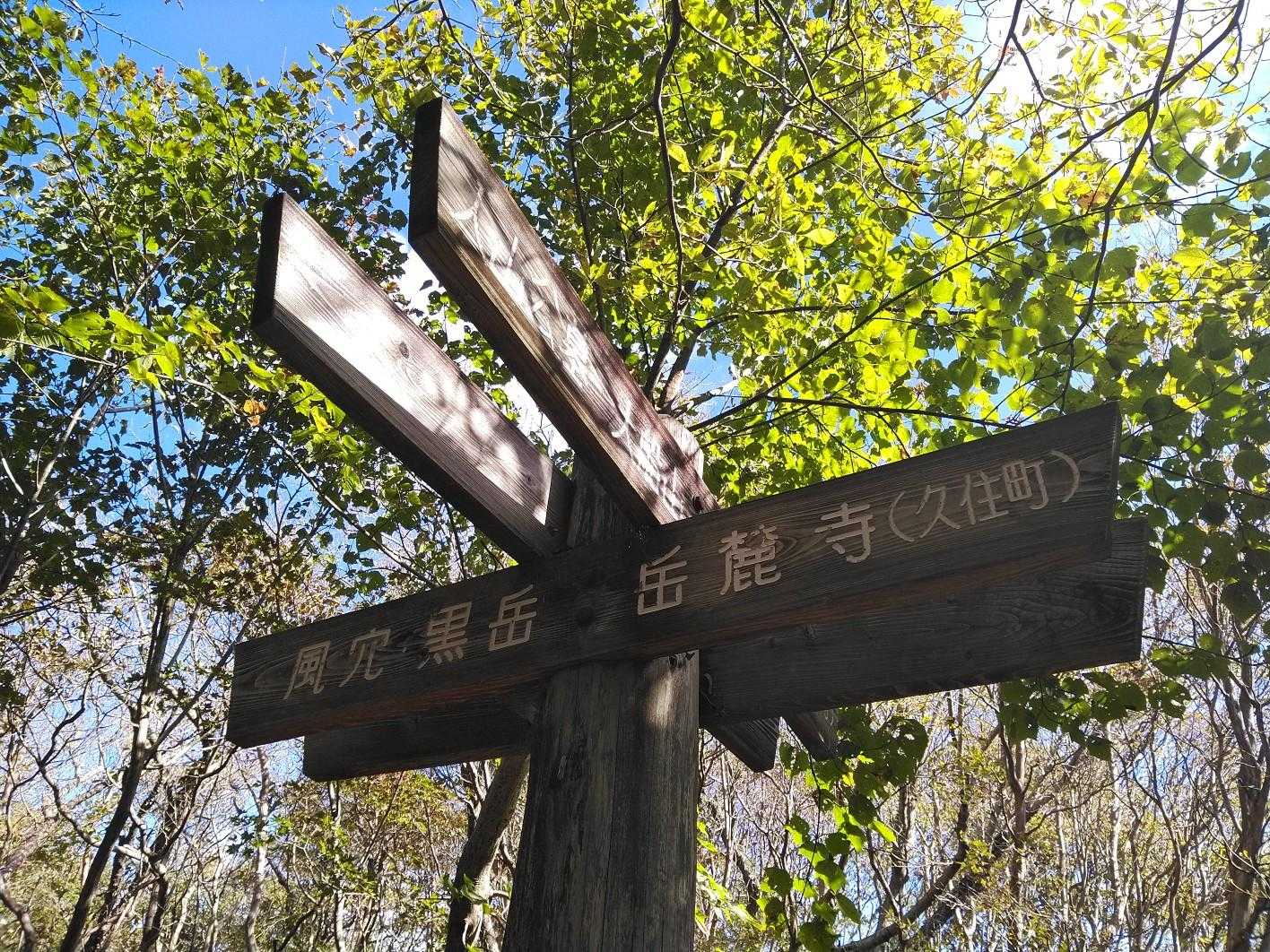 分岐。