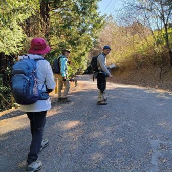 大して歩いてないので皆さん足は軽やかね。
いい感じ。
さぁ急ぎましょう。
桜えび釜揚げが待ってます。