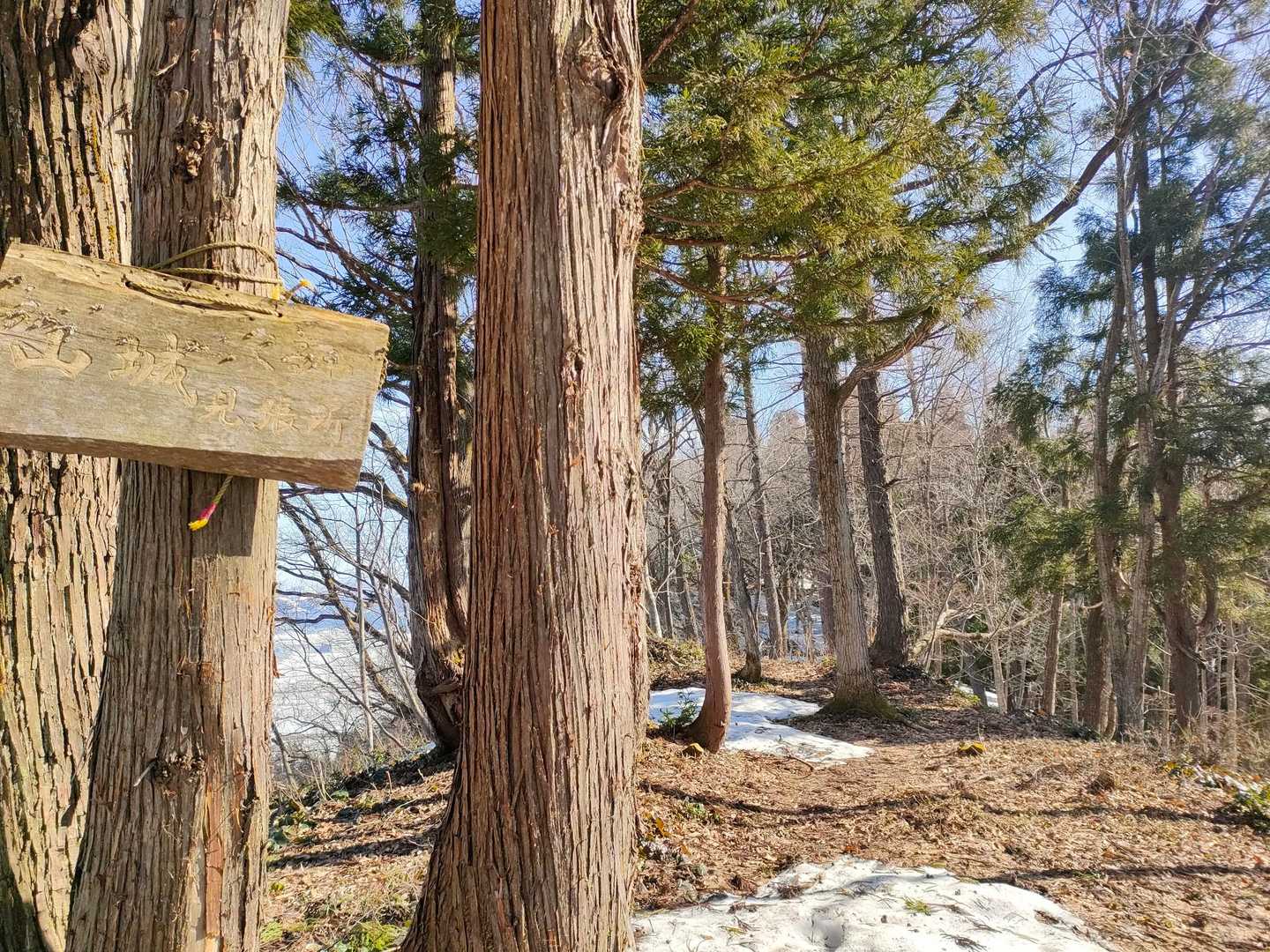 坊谷山-愛宕山 周回コースの写真