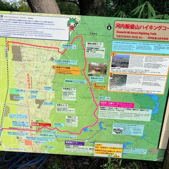 今日は竹林コースで行こ。。。
