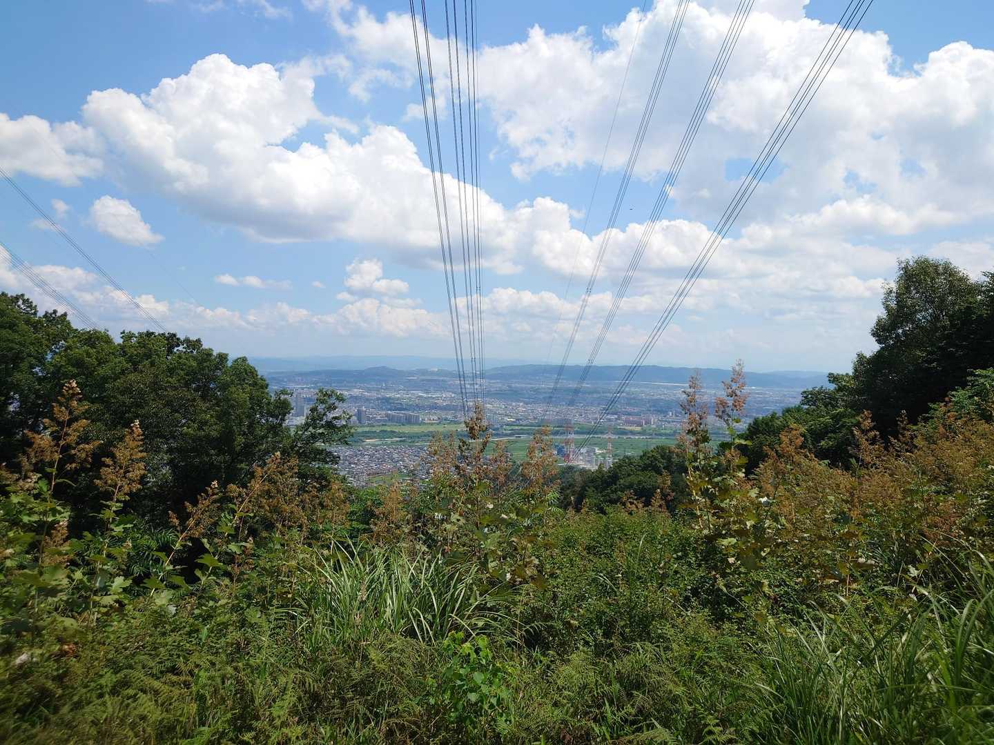 雑草の勢いが夏❗ここからはいろんな季節の景色を見ているな👀