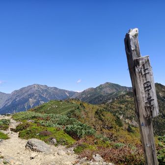 仁田岳に一様来ました😊