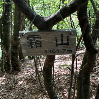 霜山山頂