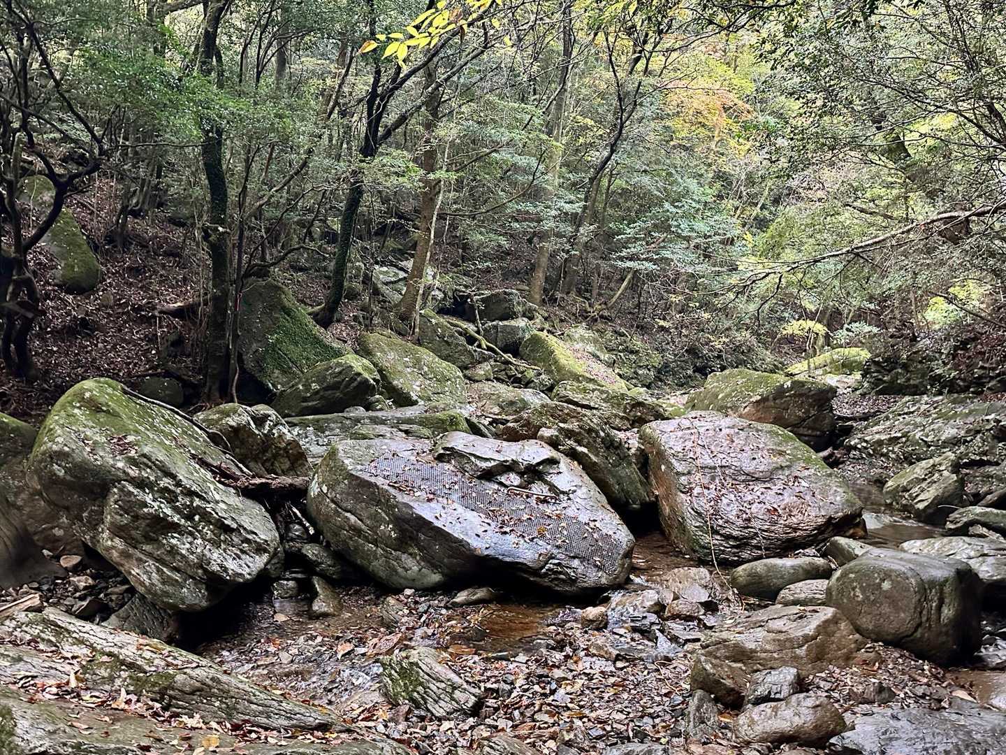 行縢山登山口-行縢山 往復コースの写真