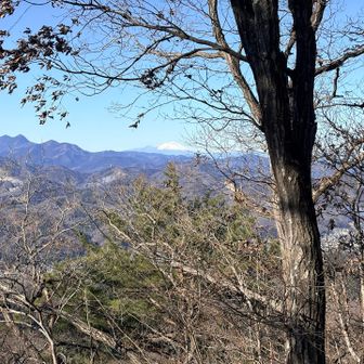 遠くに浅間山👍