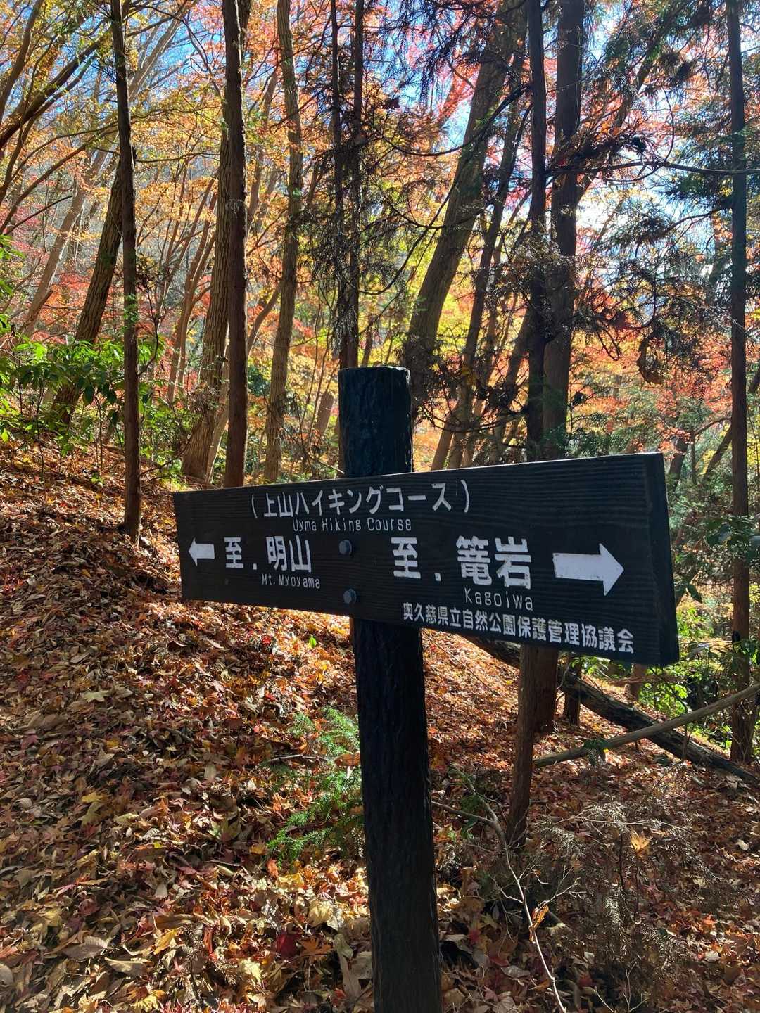 行くぞー‼️