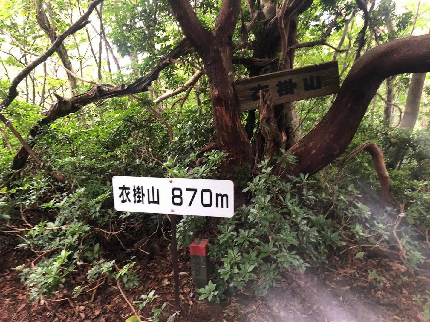 衣掛山の写真