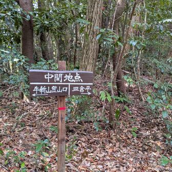 ようやく中間地点。
折り返しです。
頑張れと自分を励ましながら走る