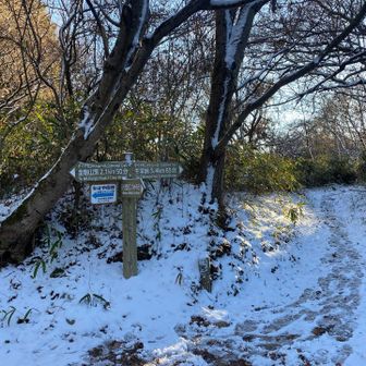 伏見峠
雪が積もってますがこの辺りは凍っても無く普通に歩けました