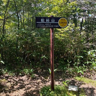 蛇峠山登頂。先客2人いましたが、展望台に登ったので、さっさと写真を撮って下山します。
ちなみに、展望台に上がっても何も見えません。
下からでも分かる感じでした。恵那山と同じ。