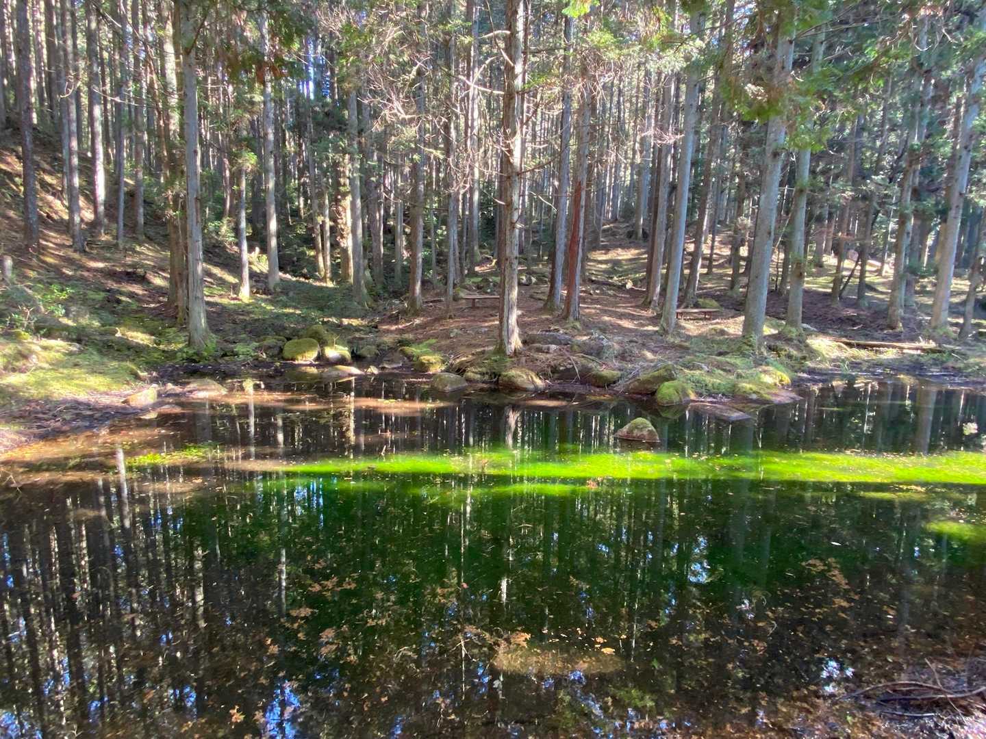 屏風山-黒の田東湿地 往復コースの写真