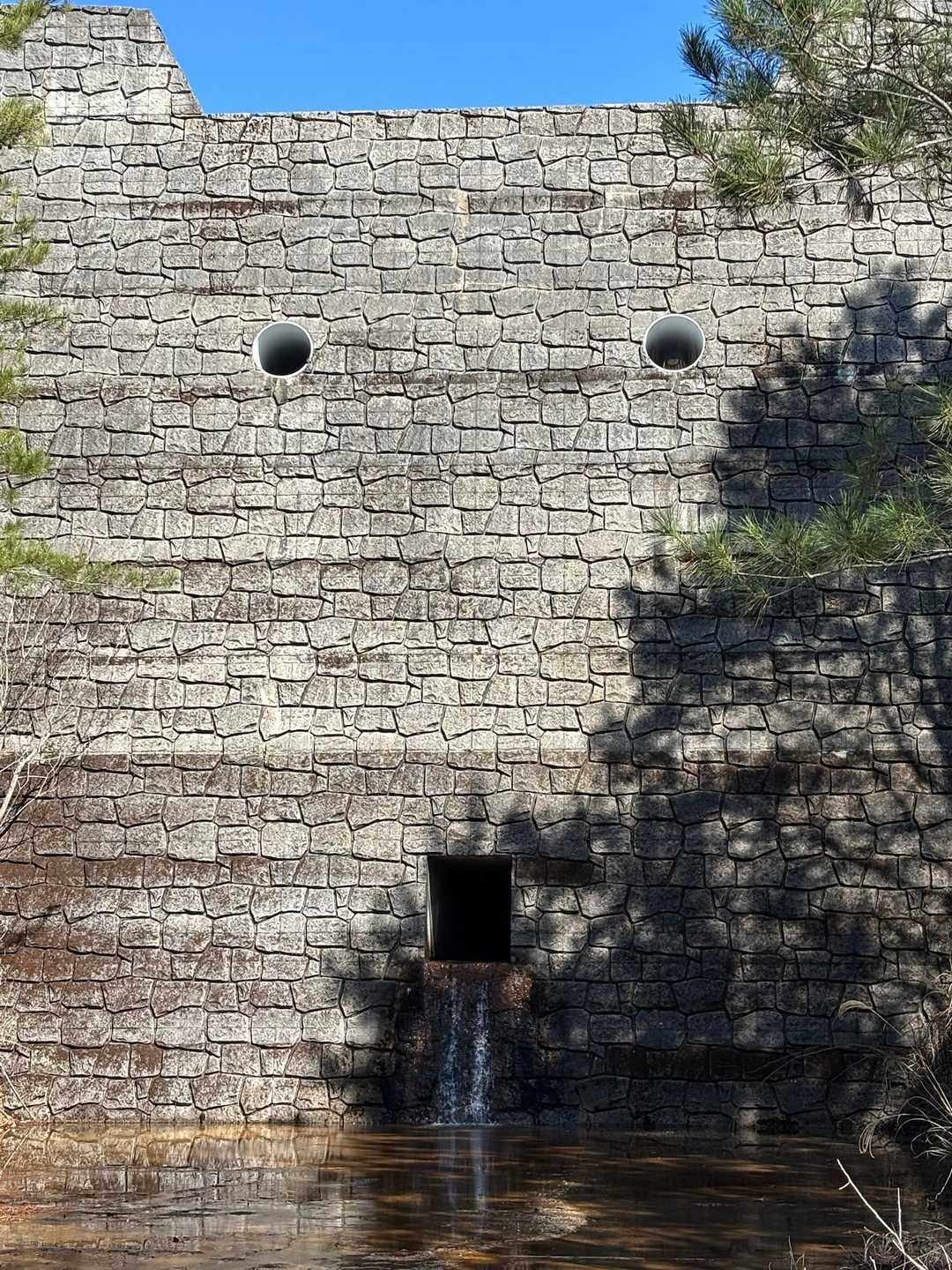 たまたまか？