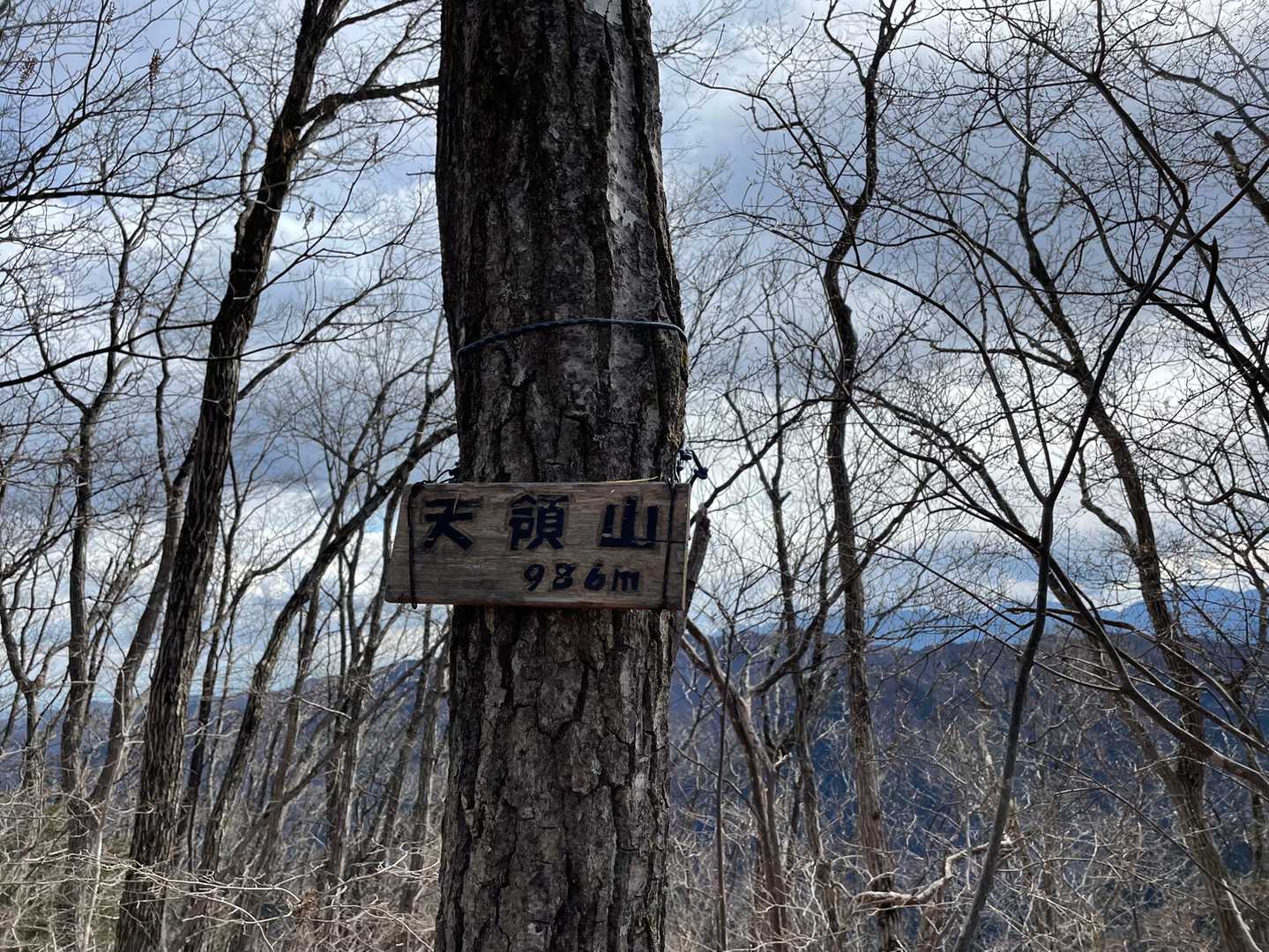 天領山△