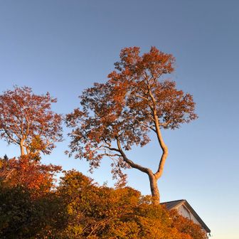 日没前に下山。月山は良い❗️