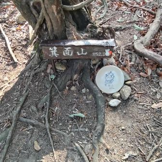 箕面山 ゆずるくんが可愛い🩷