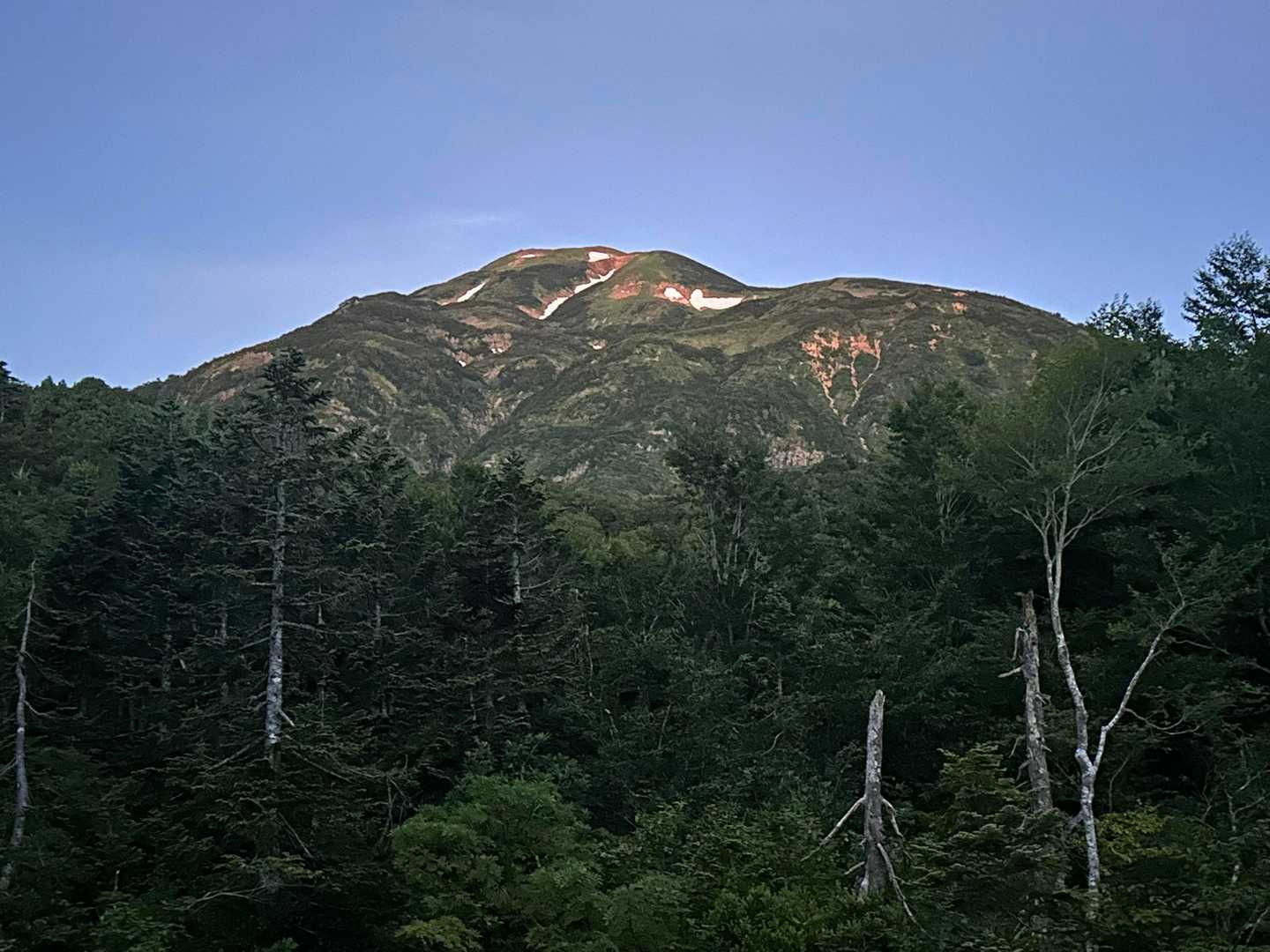 湿原から見えた雪倉岳