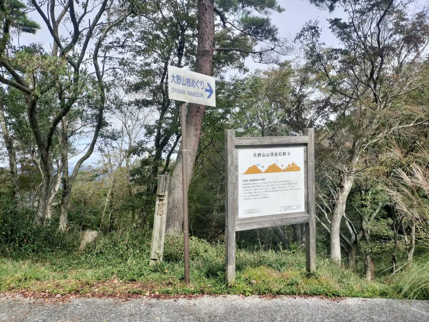 下山の車道に合流しました😀

大野山は一方通行なので安心して車でサクッと行けます✌️