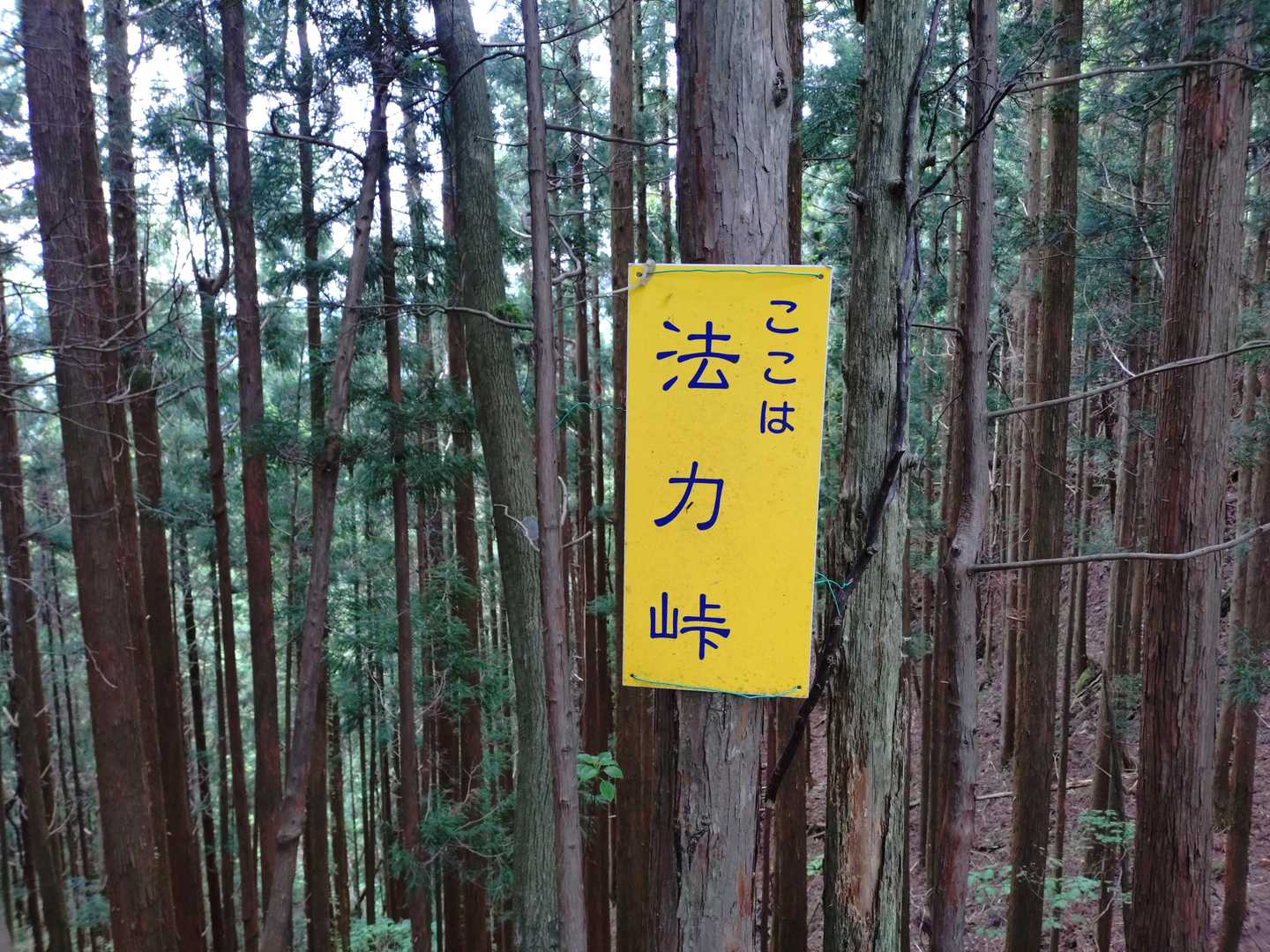 ここで４合目ぐらいかな？少し休憩して先を急ぎます！雨ふりそう。(泣)