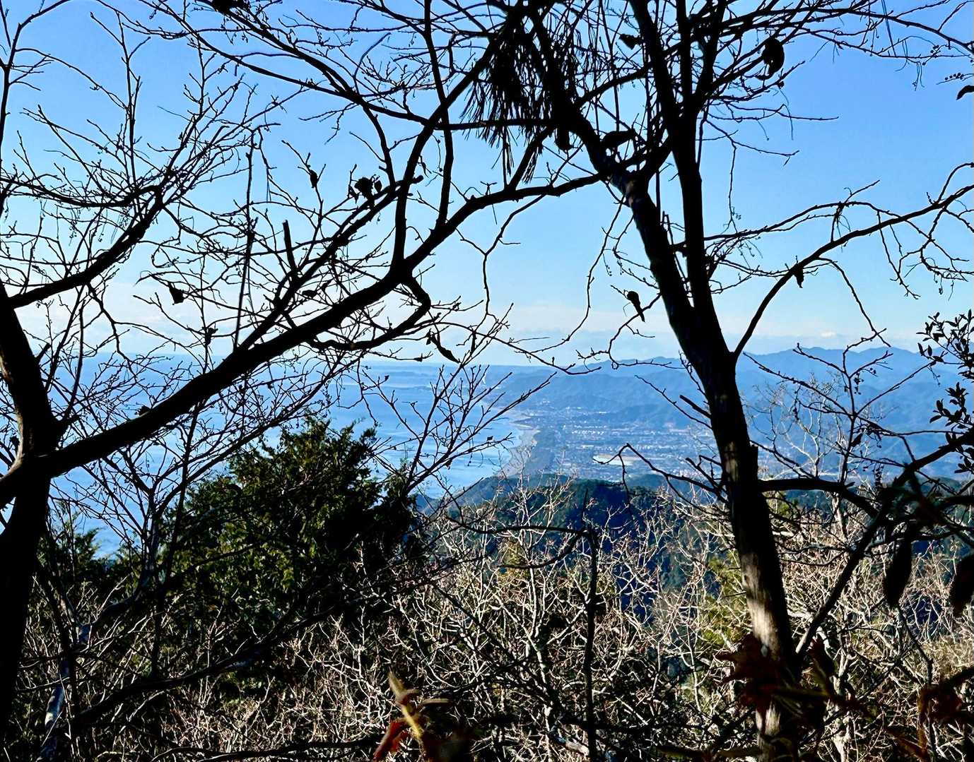 途中の木陰🌲から七里御浜⛱️がチラリ📸