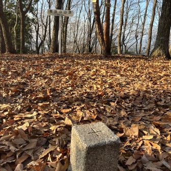 青貝山。
眺望はほぼ無し。
木々の隙間からちょこっと見えるかな？
くらい。