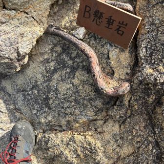 B懸垂　よじ登る