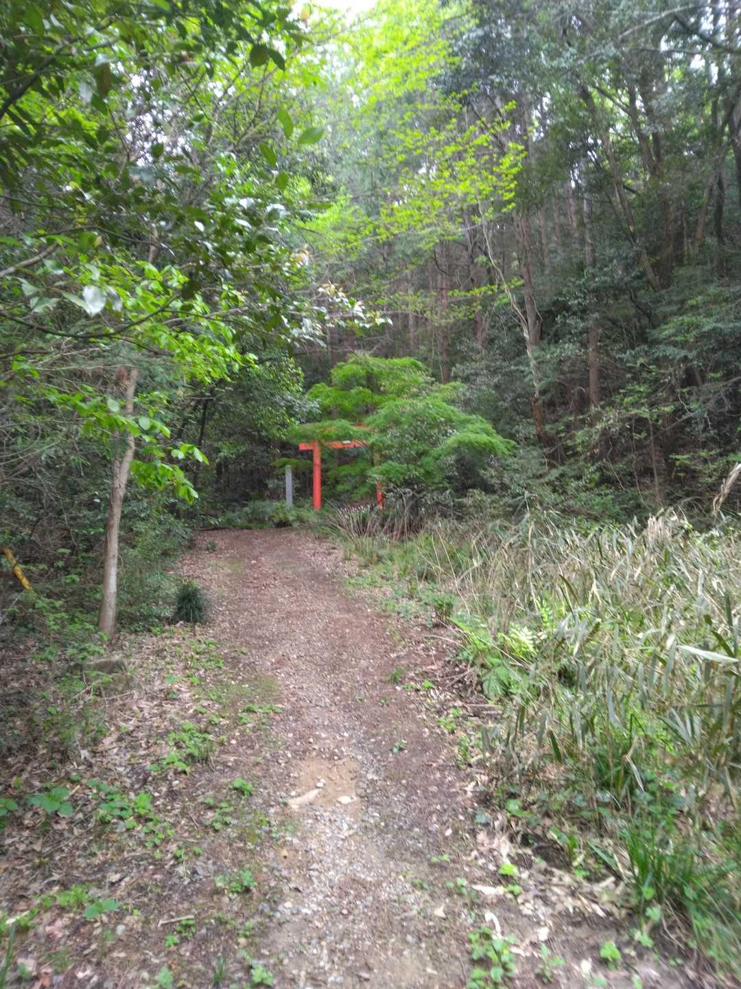 姫宮奥の院🙏