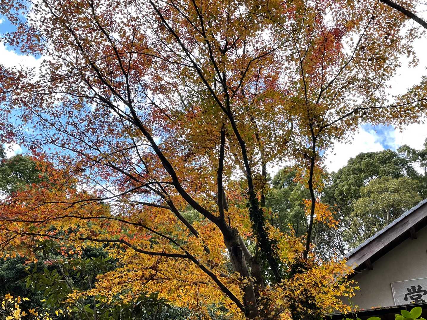 三日月山 往復コースの写真