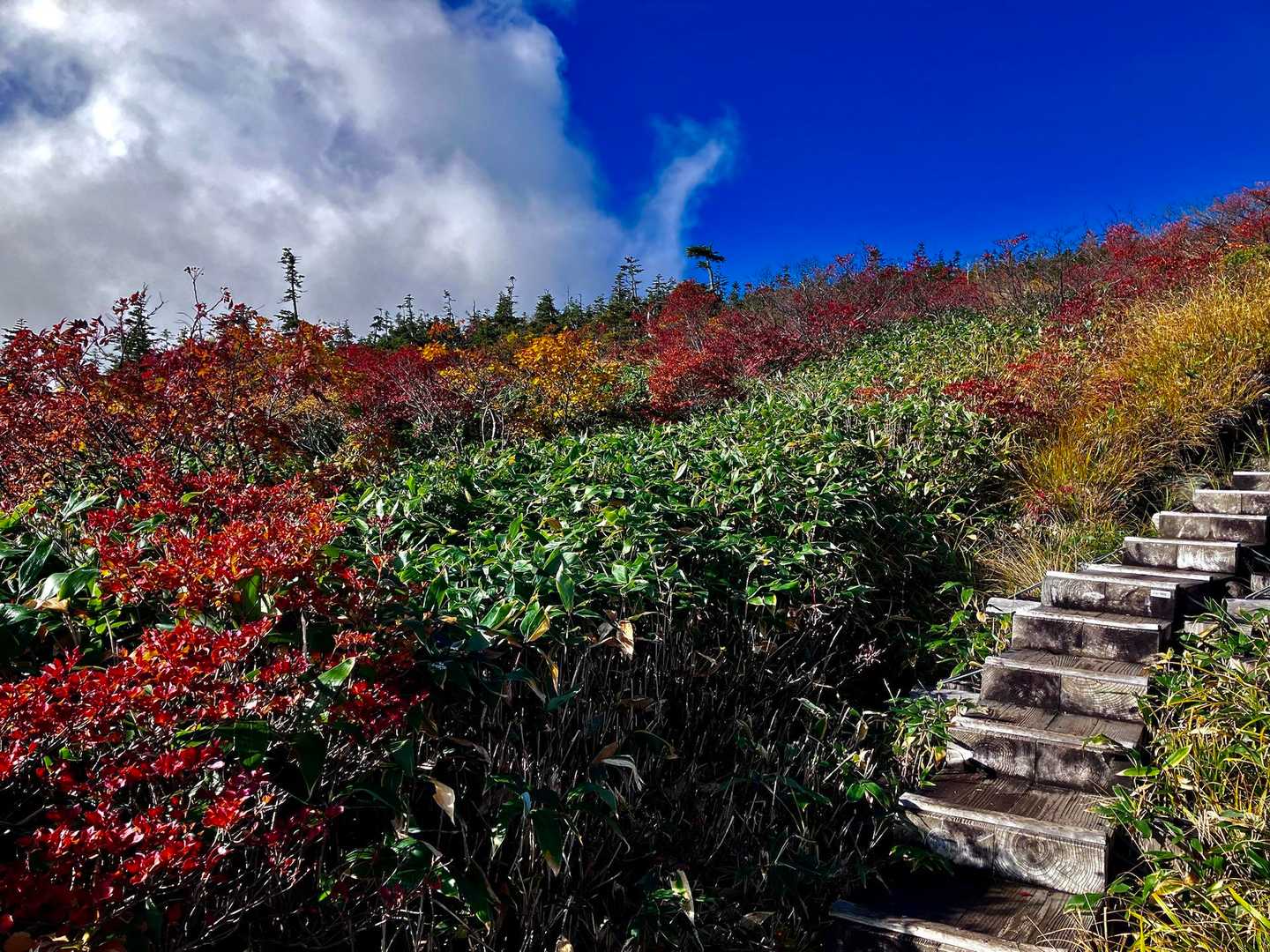 写真ばかり撮って進まない📸
