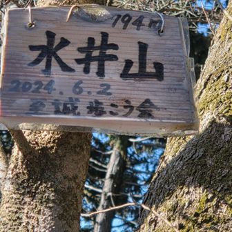 水井山、794mは京都トレイルで標高一番の山

