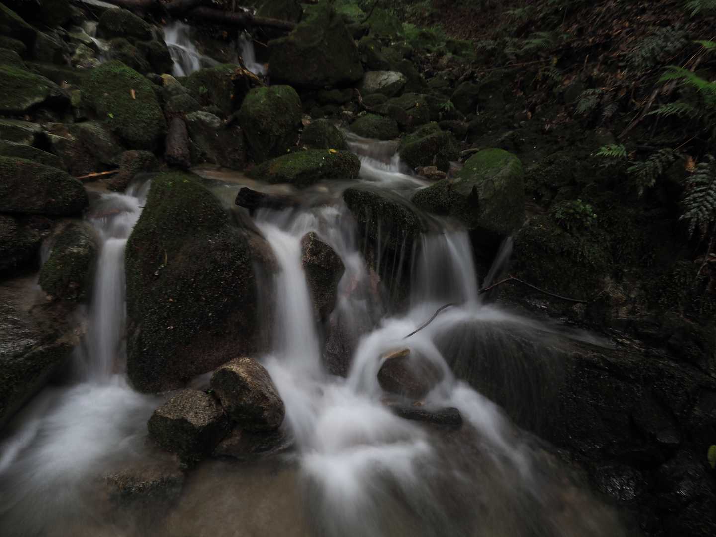 面白い渓流
