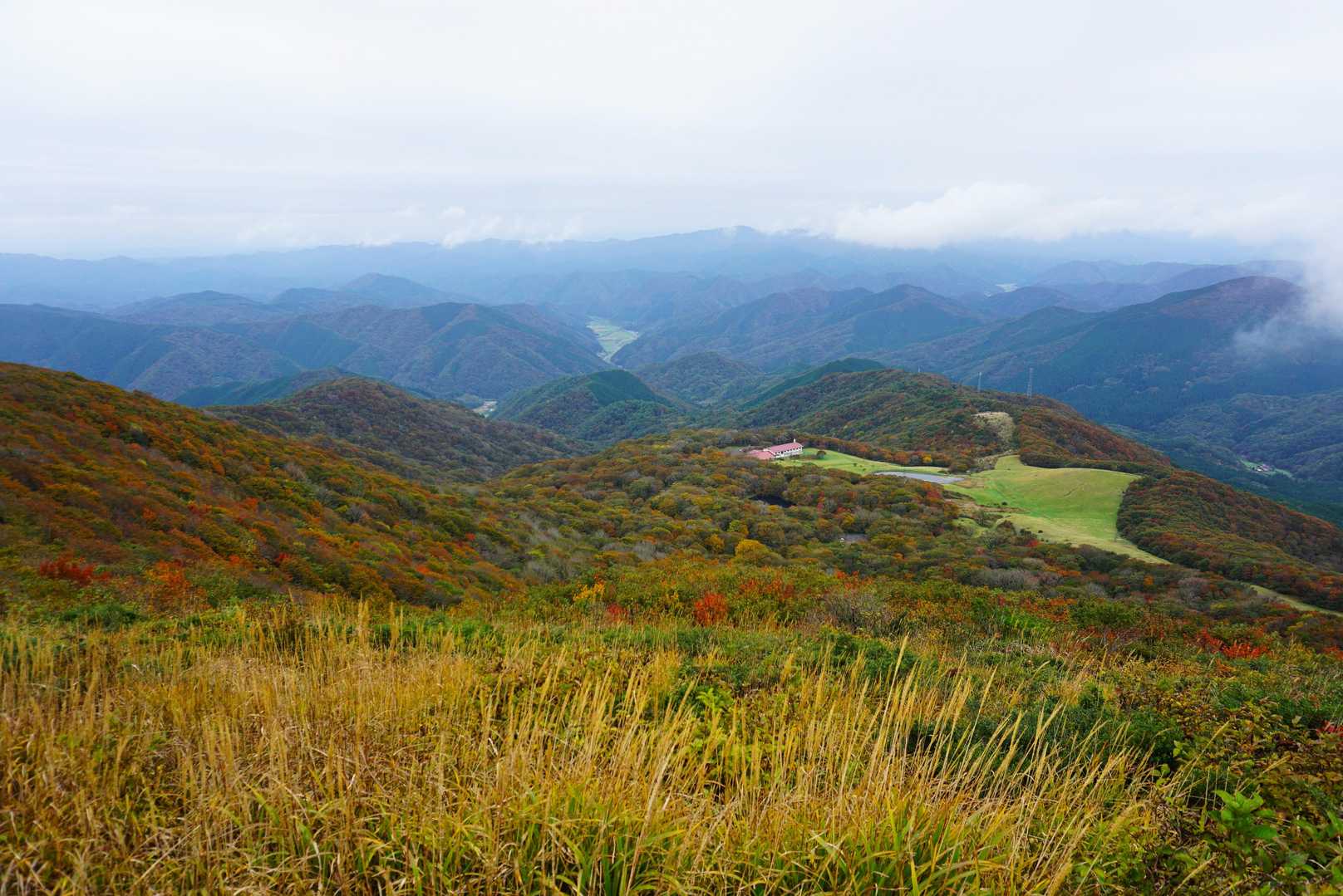 旧ロッジ側の斜面の紅葉も奇麗です👍