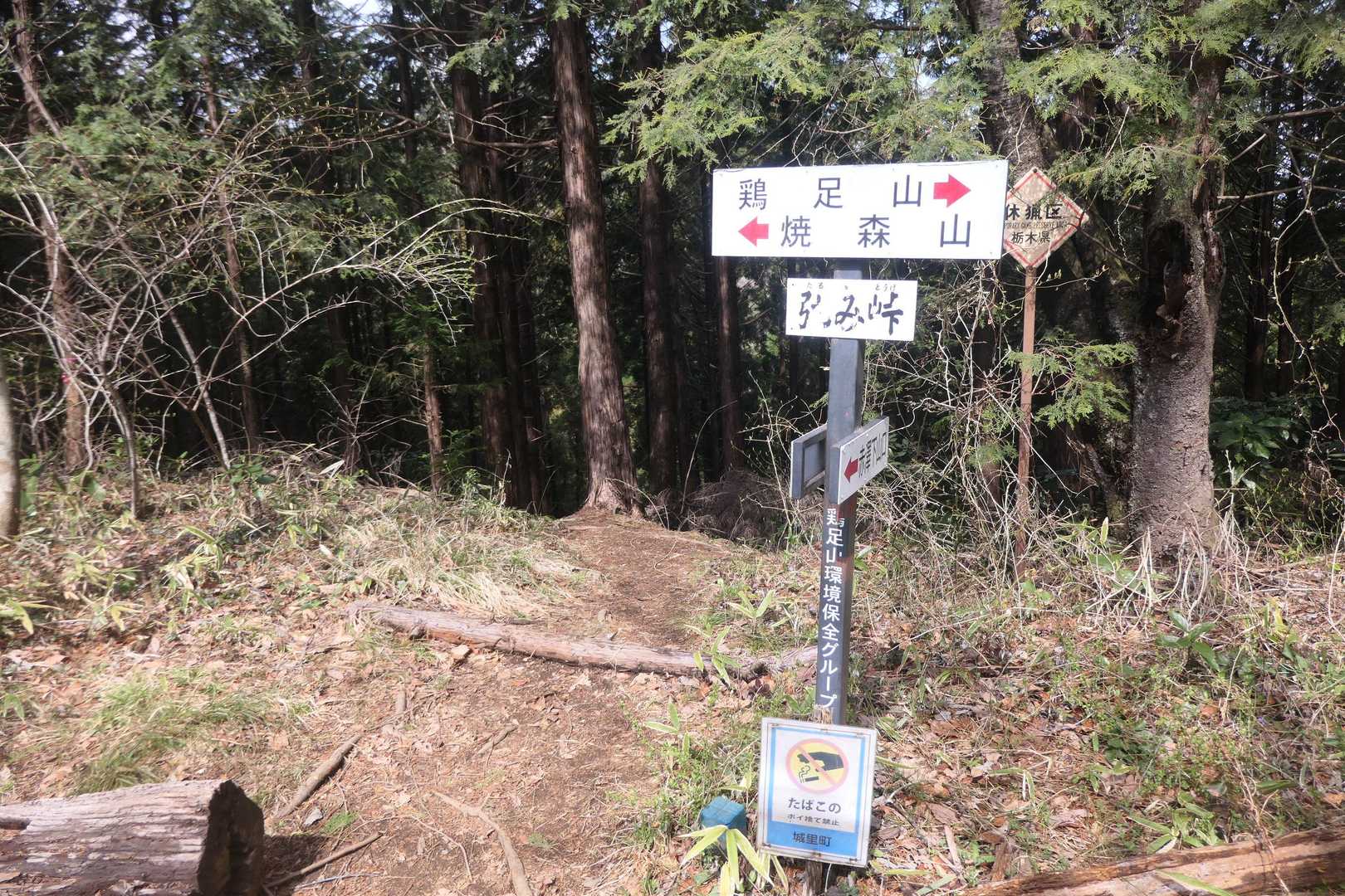 途中の弛み峠。