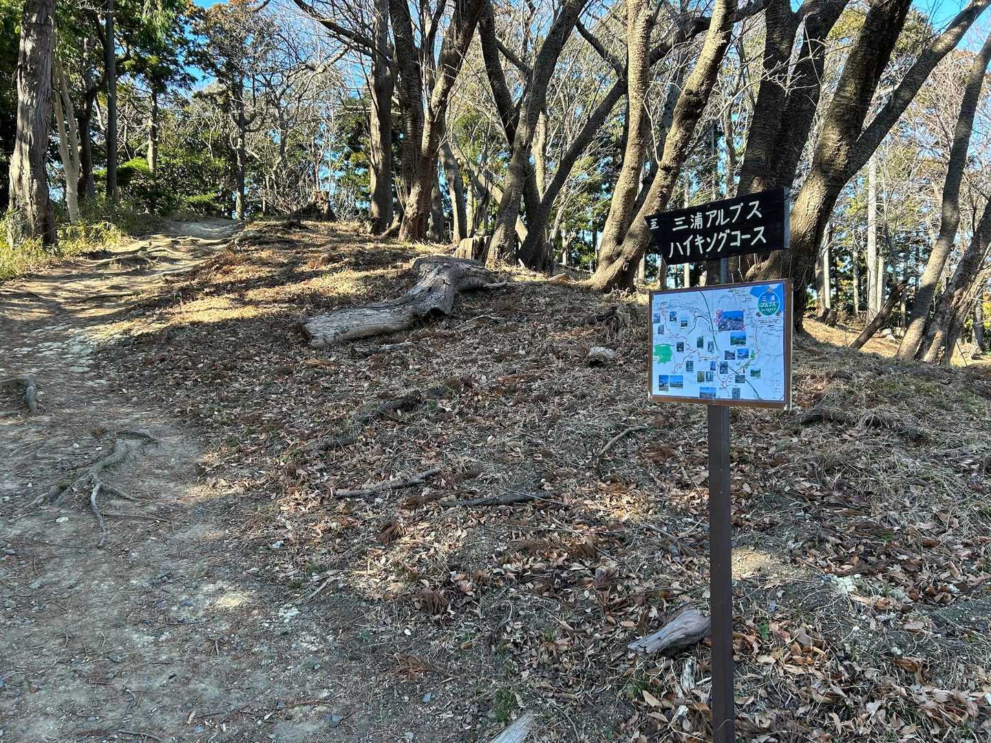 さて、こっからがハイキングコースみたい。
