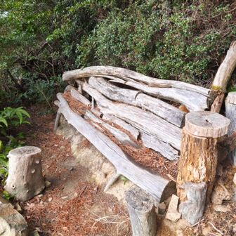 森のテラスで休憩🍜