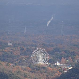 モンキーパーク