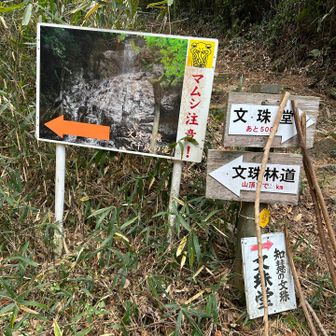 ここの手前の駐車場に停車🚗
右側の林道からSTART▶︎▷