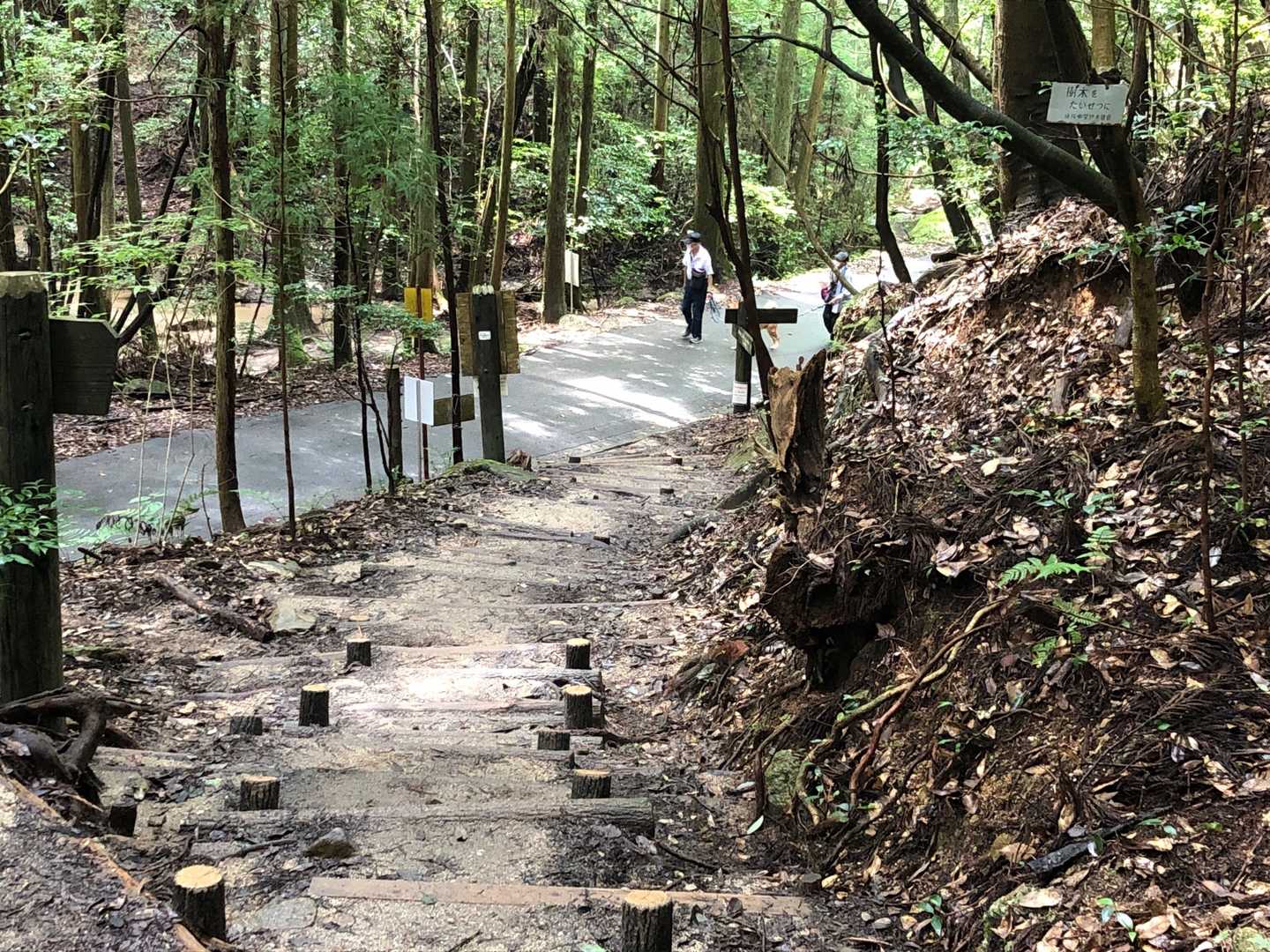 今日も無事に下山しました！