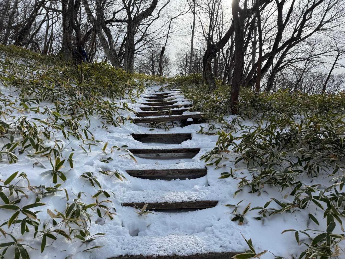 小地蔵岳-長七郎山 周回コースの写真