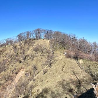 まだまだ、UP⤴︎ DOWN ⤵︎ の繰り返し。