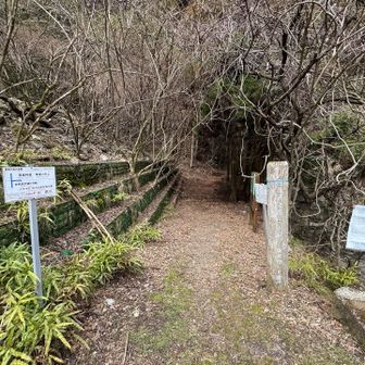 はい、ここを進みます