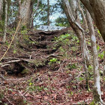 何とか登り切り