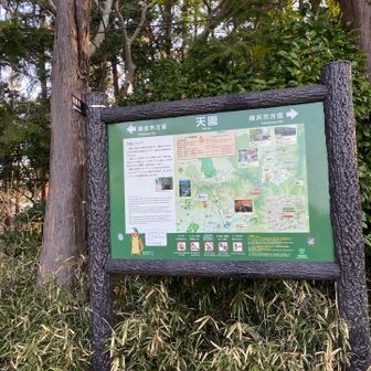 天園（天国ではないですよ）