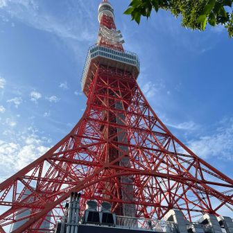 スカイツリーができても
大賑わいの東京タワー🗼