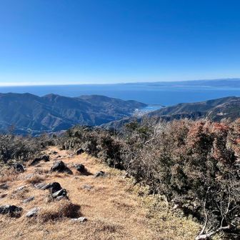 金冠山頂上より