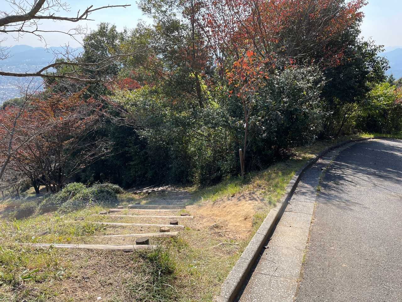 下山は違う道。左へ