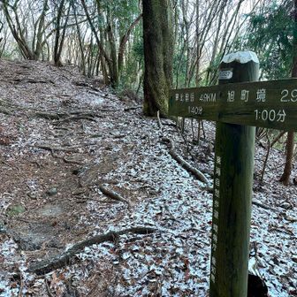 緩やかな道が続く