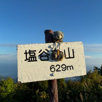 トウチョ🐶
