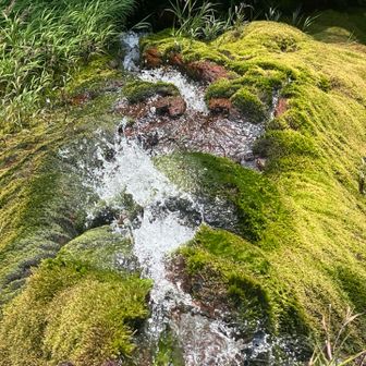 水の流れも良くなった