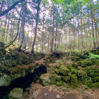 わかりにくいですが、風穴内部と上部の空気層、温度が違うのが目で見える